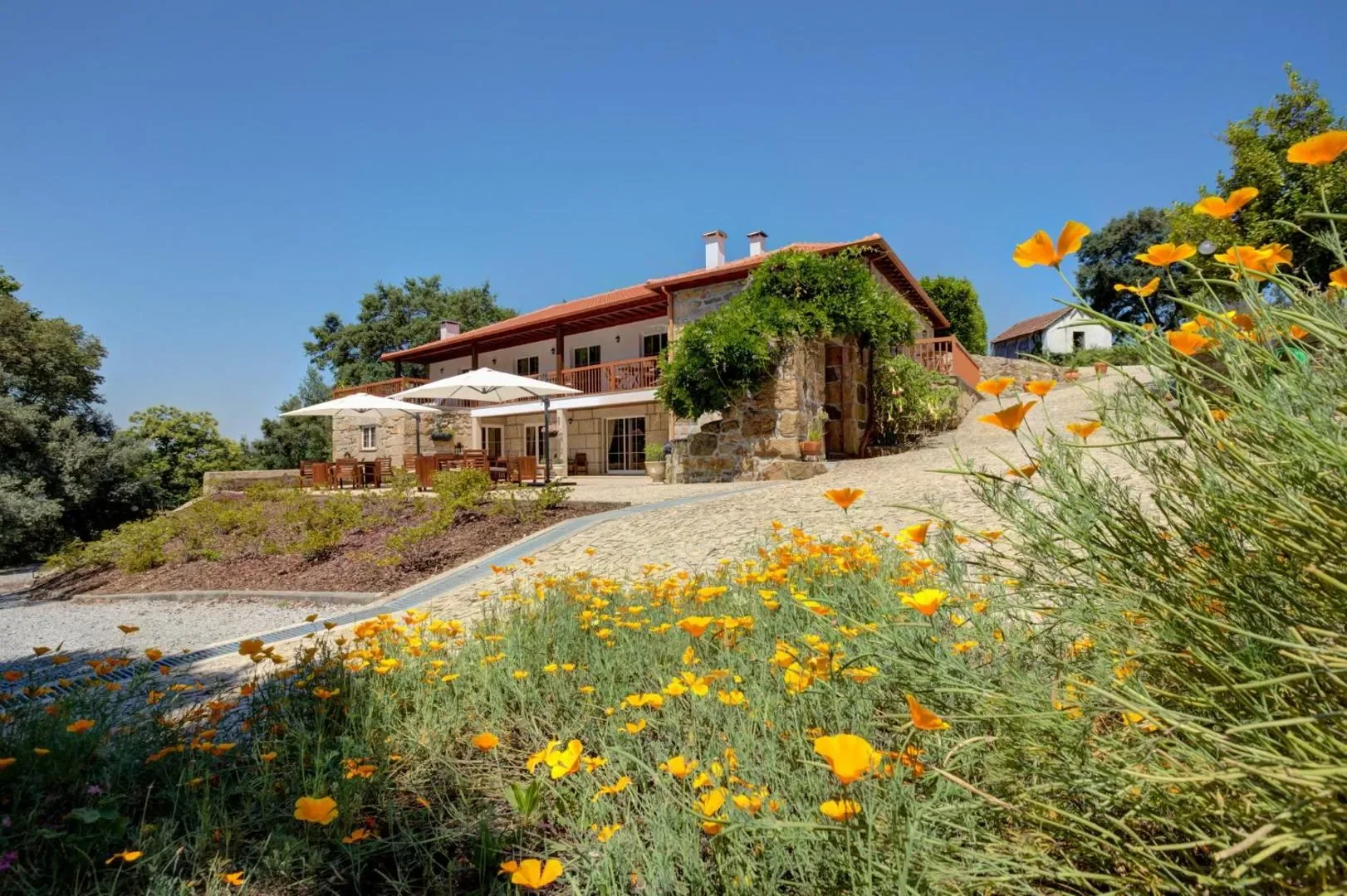 Quinta do Farfalho’s traditional stone house surrounded by gardens and golden flowers
